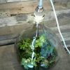 Workshop 'Maak je eigen biosfeer' in Kraftelier - 7 december 2019 - Afbeelding 2